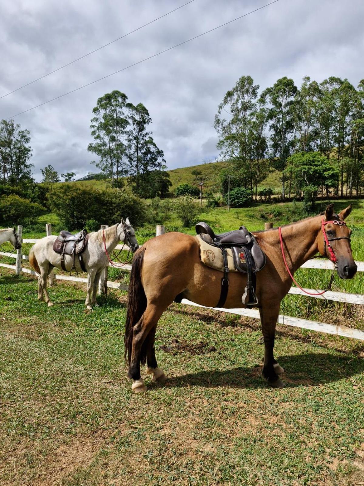 Pousada Rural E Pesqueiro Chale Da Serra Conceição da Ibitipoca Exterior foto
